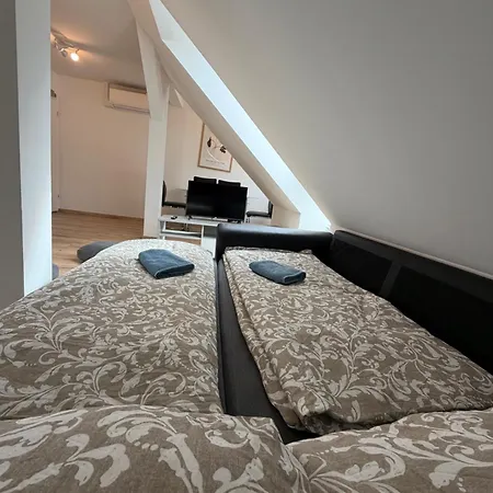 Modern Rooftop In Center Apartment