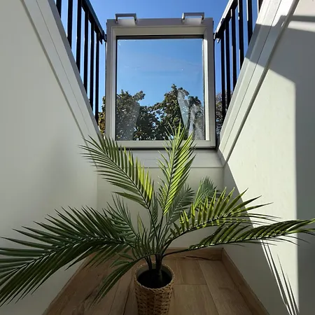 Modern Rooftop In Center 菲拉赫