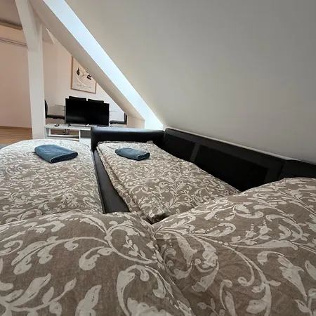 Modern Rooftop In Center Apartment