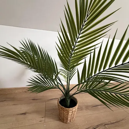 Apartment Modern Rooftop In Center