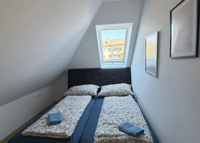 Modern Rooftop In Center