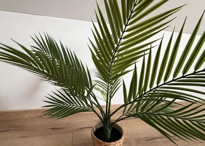 公寓 Modern Rooftop In Center